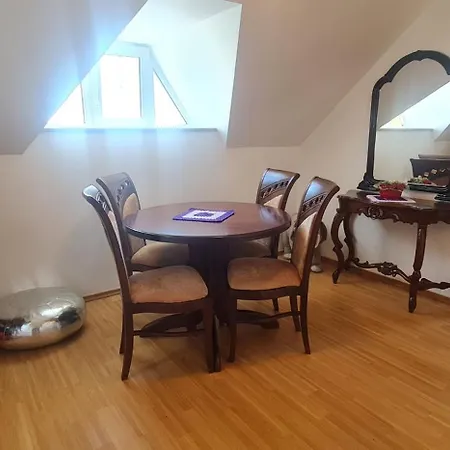 公寓 Apartma Rogla Dragica