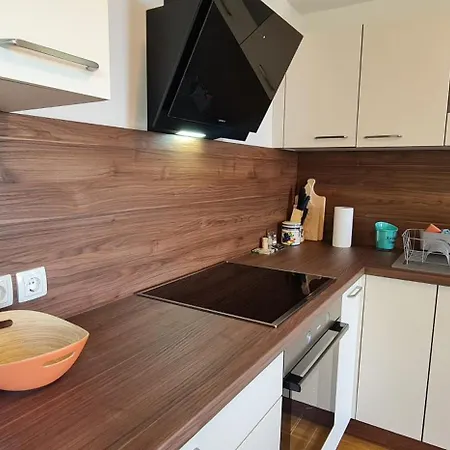 Apartma Rogla Dragica